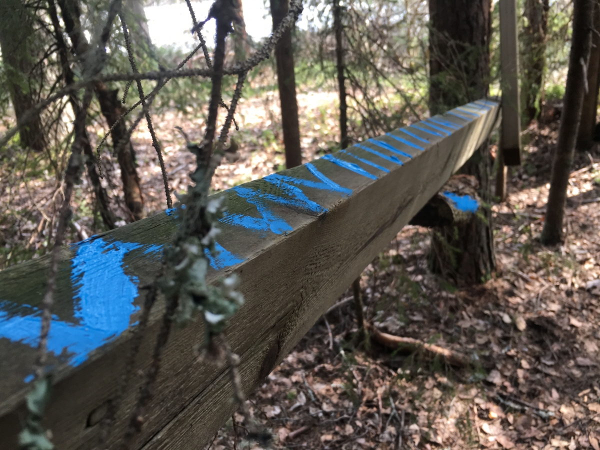 Hyrynsalmi_ympäristötaideteos_kansalaisuus_ja_luonto